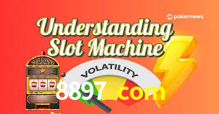 Programa VIP 8897 com